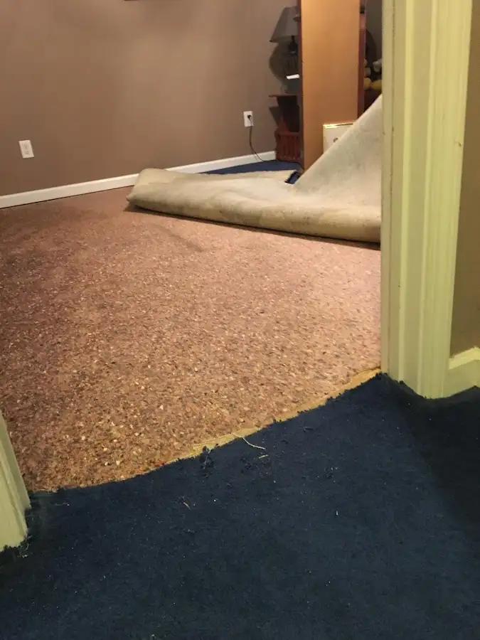 Carpet pad removal revealing water damage during Water Mitigation Services in Courtland