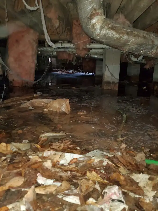Crawl space flood assessment for Commercial Water Damage Restoration in Courtland